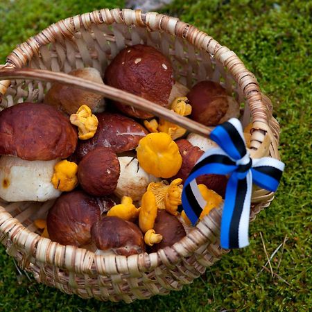 Adami Country Guesthouse Vainupea Zewnętrze zdjęcie