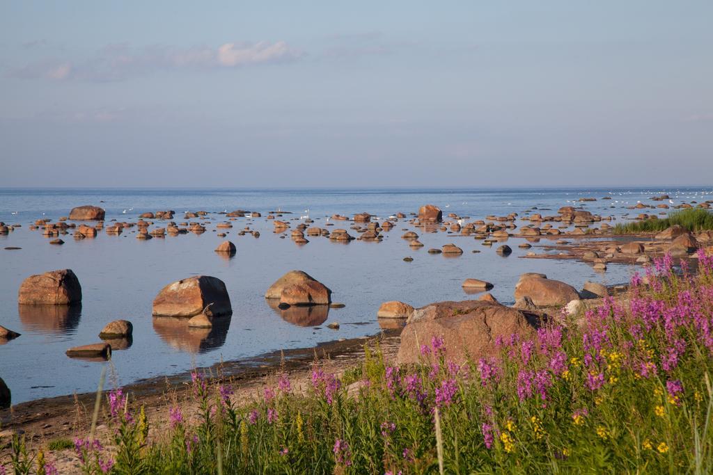 Adami Country Guesthouse Vainupea Zewnętrze zdjęcie