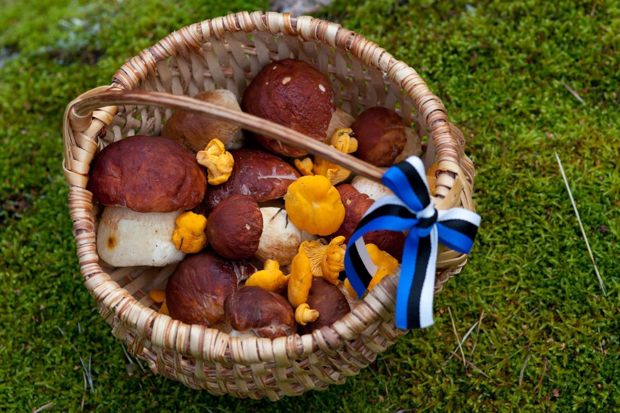 Adami Country Guesthouse Vainupea Zewnętrze zdjęcie