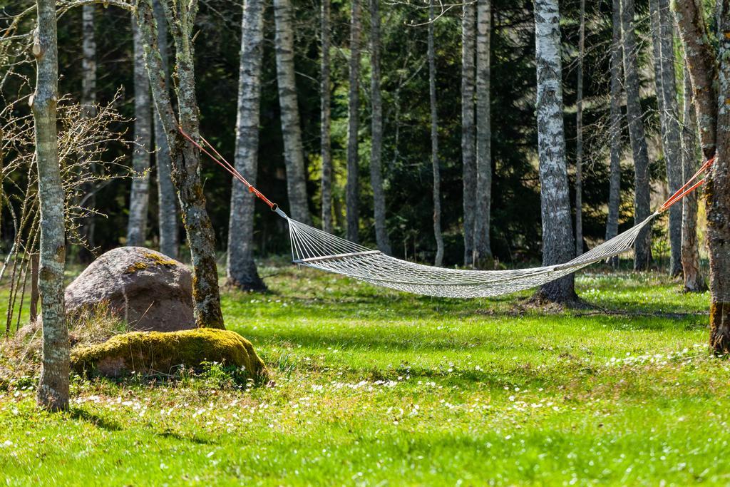 Adami Country Guesthouse Vainupea Zewnętrze zdjęcie