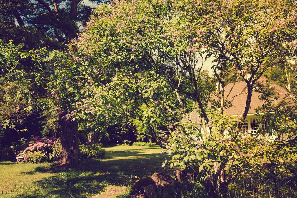 Adami Country Guesthouse Vainupea Zewnętrze zdjęcie