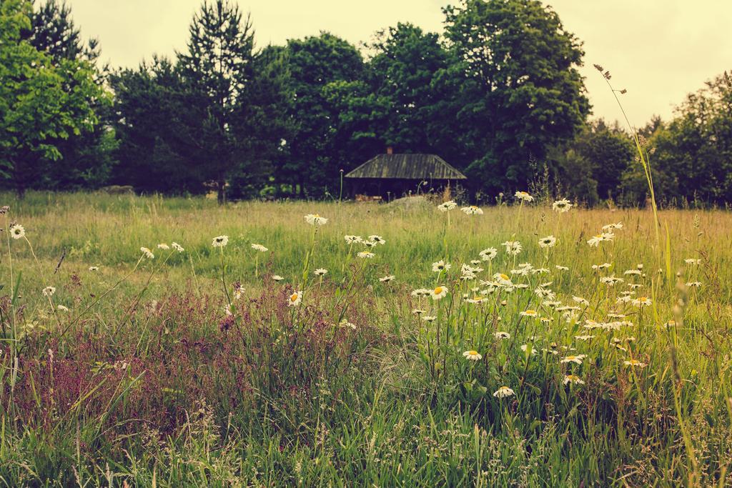 Adami Country Guesthouse Vainupea Zewnętrze zdjęcie