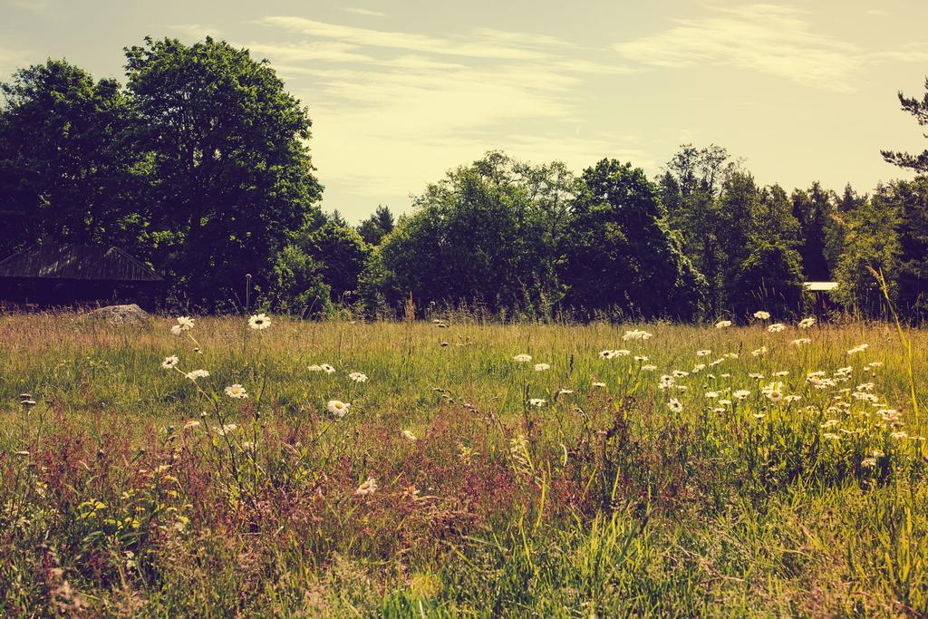 Adami Country Guesthouse Vainupea Zewnętrze zdjęcie