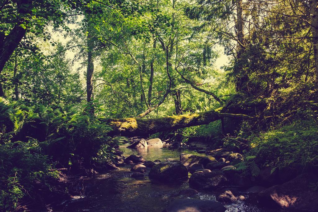 Adami Country Guesthouse Vainupea Zewnętrze zdjęcie