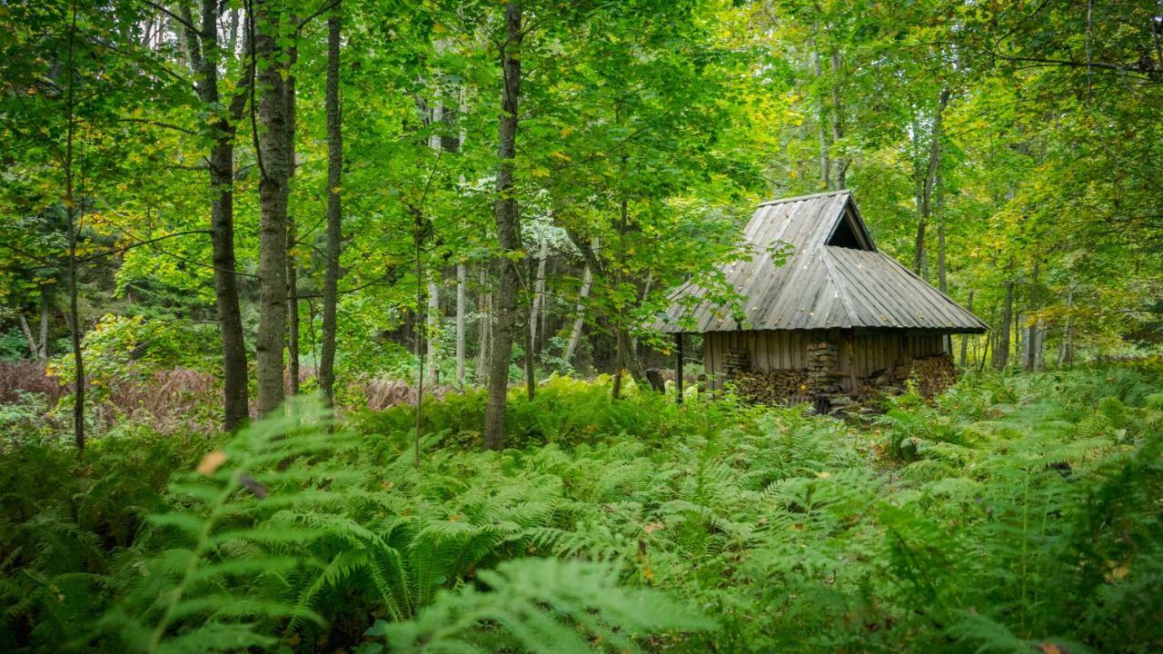Adami Country Guesthouse Vainupea Zewnętrze zdjęcie