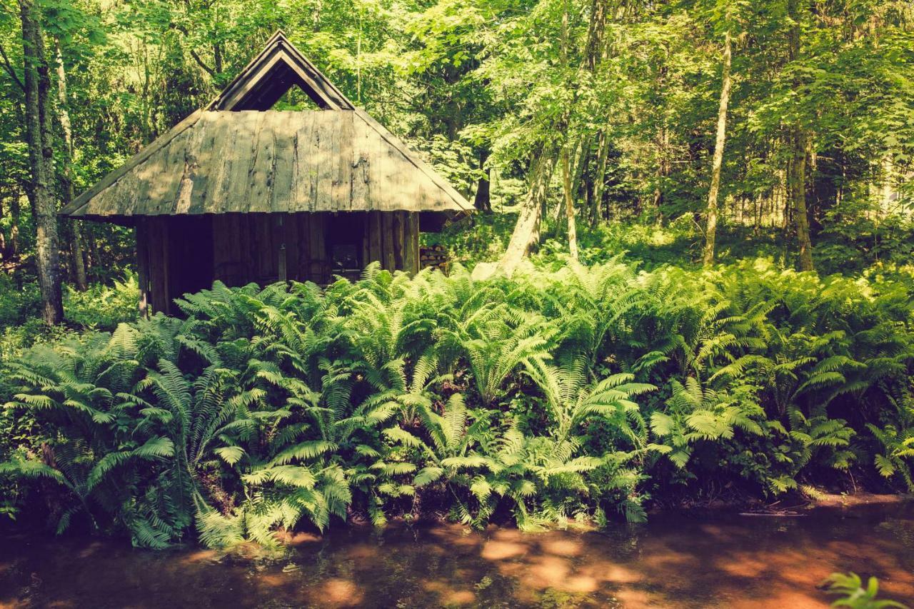 Adami Country Guesthouse Vainupea Zewnętrze zdjęcie