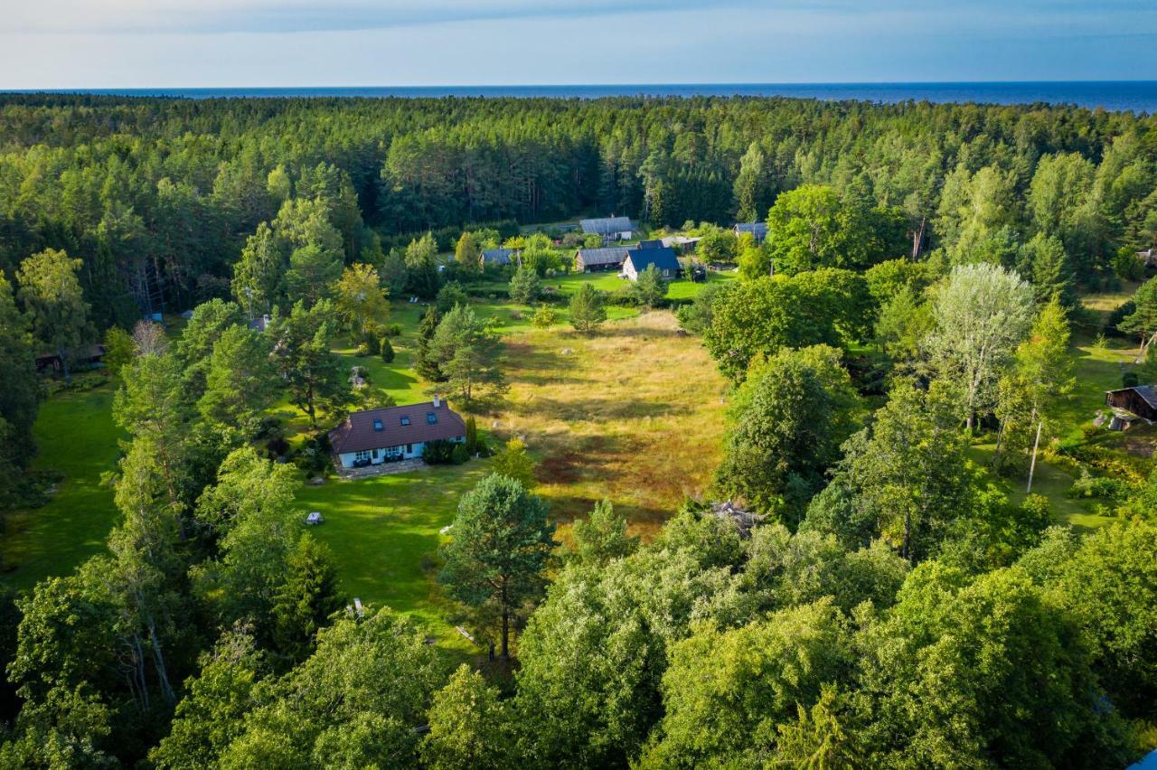 Adami Country Guesthouse Vainupea Zewnętrze zdjęcie