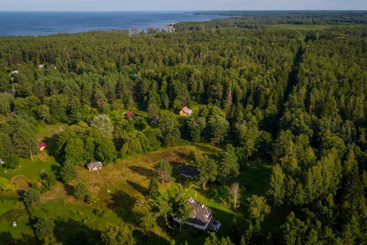 Adami Country Guesthouse Vainupea Zewnętrze zdjęcie