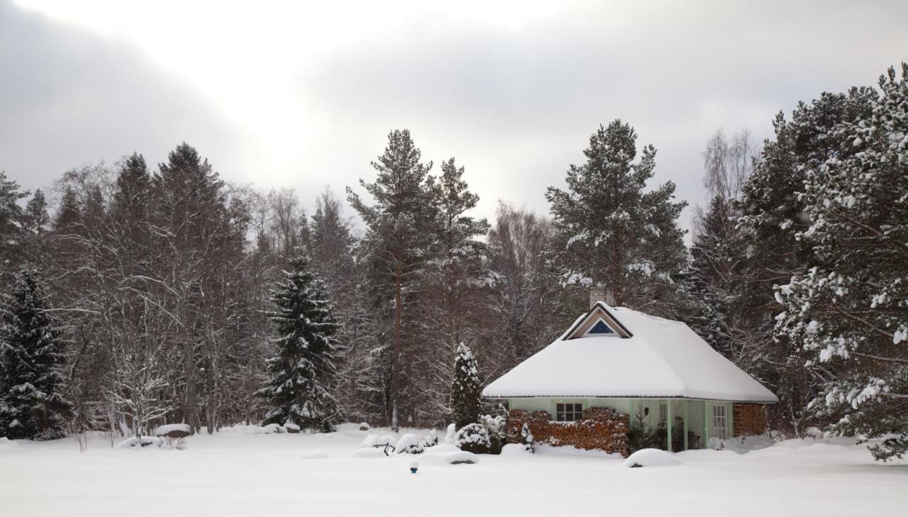 Adami Country Guesthouse Vainupea Zewnętrze zdjęcie